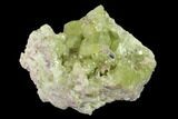 Vesuvianite Crystal Cluster - Jeffrey Mine, Canada #134418-1